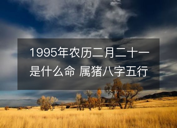 1995年农历二月二十一是什么命 属猪八字五行 婚姻事业详解