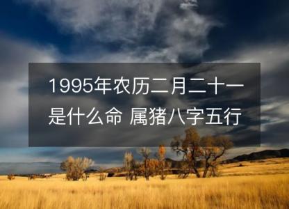 1995年农历二月二十一是什么命 属猪八字五行 婚姻事业详解