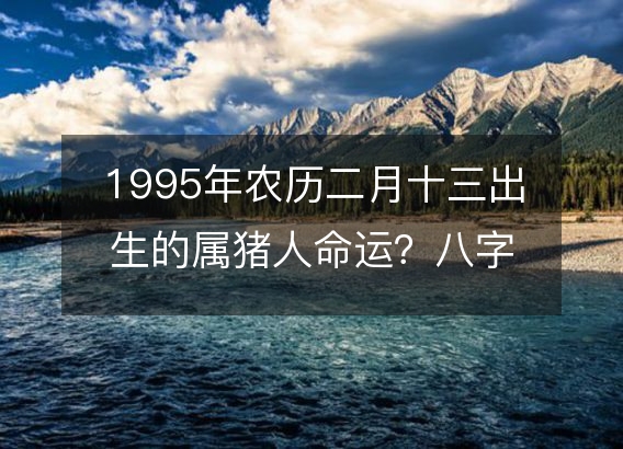 1995年农历二月十三出生的属猪人命运？八字五行缺什么！性格详解