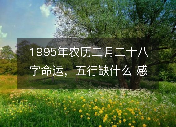 1995年农历二月二十八字命运，五行缺什么 感情婚姻、性格、事业财运