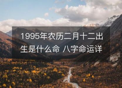 1995年农历二月十二出生是什么命 八字命运详解