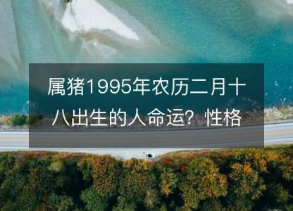 属猪1995年农历二月十八出生的人命运？性格、感情、婚姻解析