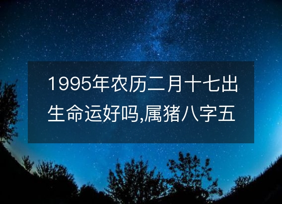 1995年农历二月十七出生命运好吗,属猪八字五行事业感情解析