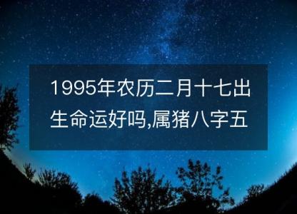 1995年农历二月十七出生命运好吗,属猪八字五行事业感情解析