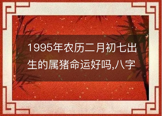 1995年农历二月初七出生的属猪命运好吗,八字五行缺什么 性格特点