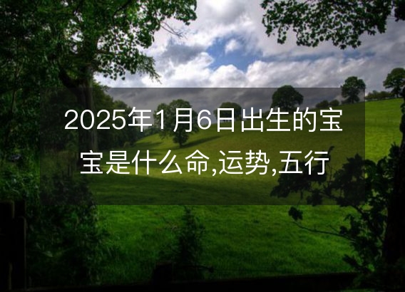 2025年1月6日出生的宝宝是什么命,运势,五行,命运算命