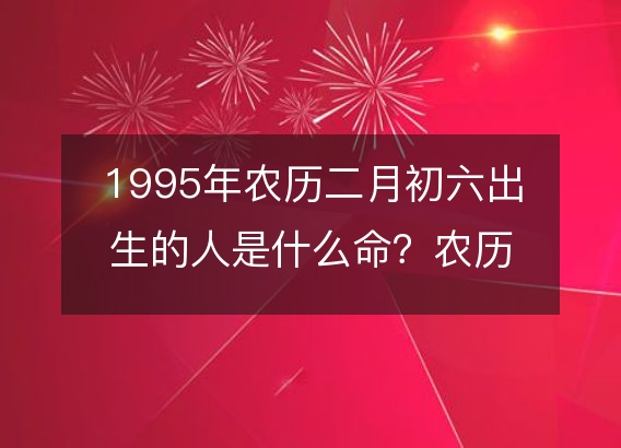 1995年农历二月初六出生的人是什么命？农历生辰八字,不同时辰五行查询