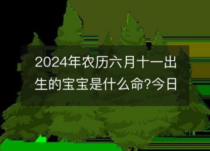 2024年农历六月十一出生的宝宝是什么命?今日八字命运好吗