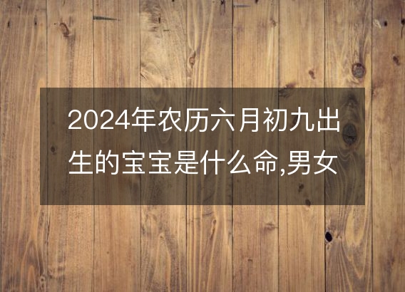 2024年农历六月初九出生的宝宝是什么命,男女生辰八字五行分析