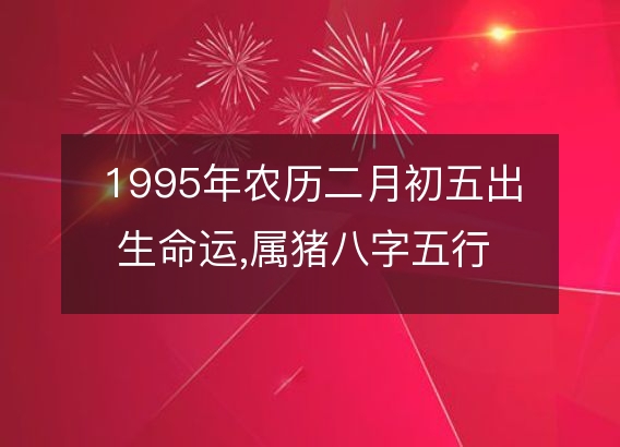 1995年农历二月初五出生命运,属猪八字五行 婚姻感情解析