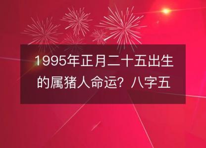 1995年正月二十五出生的属猪人命运？八字五行缺什么！性格详解