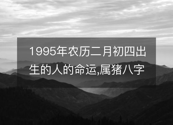 1995年农历二月初四出生的人的命运,属猪八字五行 性格特点