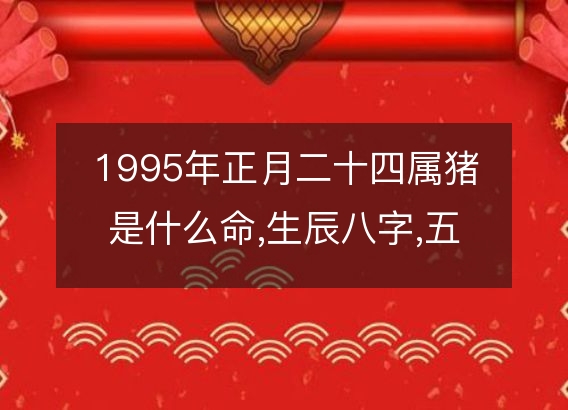 1995年正月二十四属猪是什么命,生辰八字,五行,命运解析