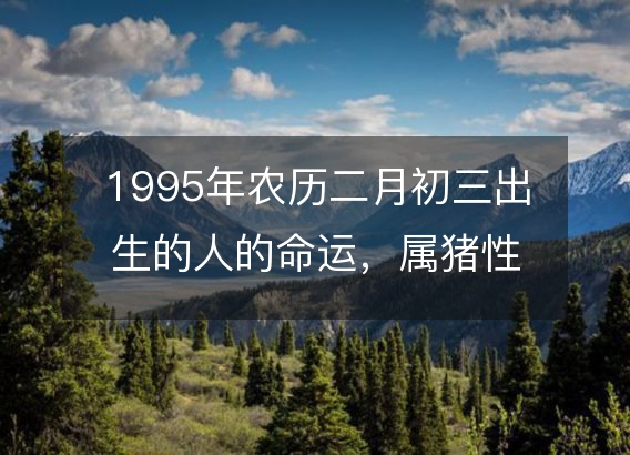 1995年农历二月初三出生的人的命运，属猪性格特点 八字五行