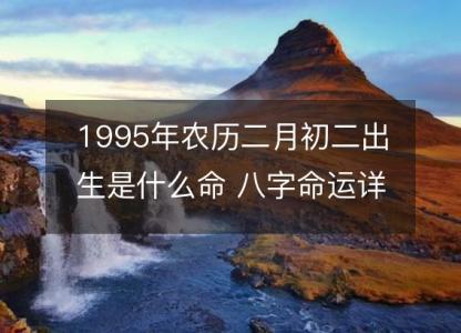 1995年农历二月初二出生是什么命 八字命运详解