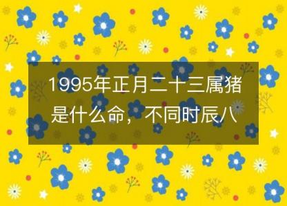 1995年正月二十三属猪是什么命，不同时辰八字五行查询