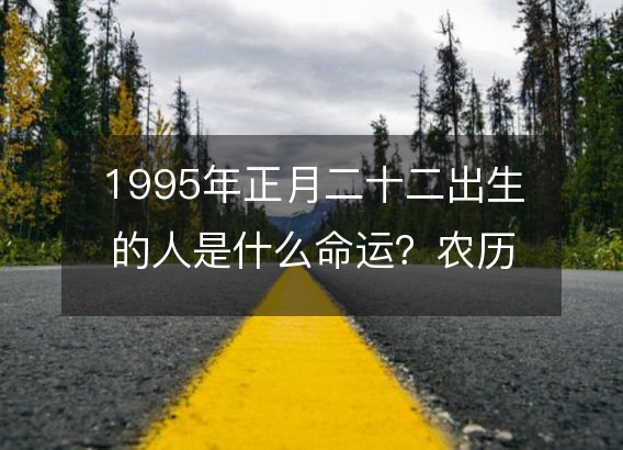 1995年正月二十二出生的人是什么命运？农历生辰八字,事业,五行解析