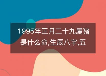 1995年正月二十九属猪是什么命,生辰八字,五行,命运解析