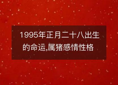 1995年正月二十八出生的命运,属猪感情性格 事业财运