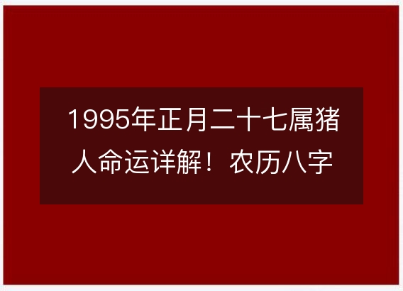 1995年正月二十七属猪人命运详解！农历八字五行缺什么 婚姻事业