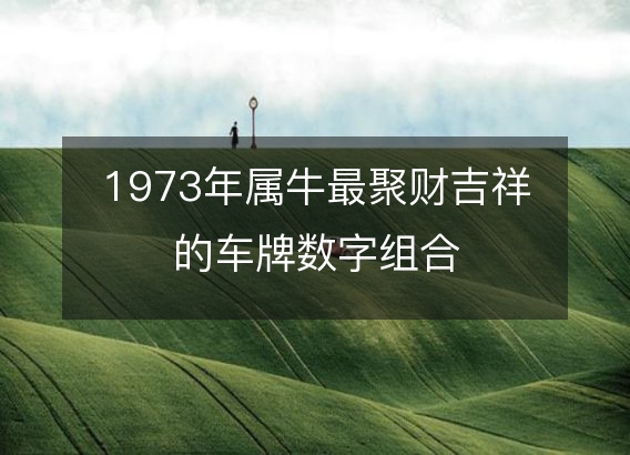 1973年属牛最聚财吉祥的车牌数字组合