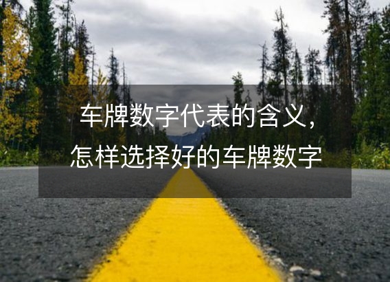 车牌数字代表的含义，怎样选择好的车牌数字？