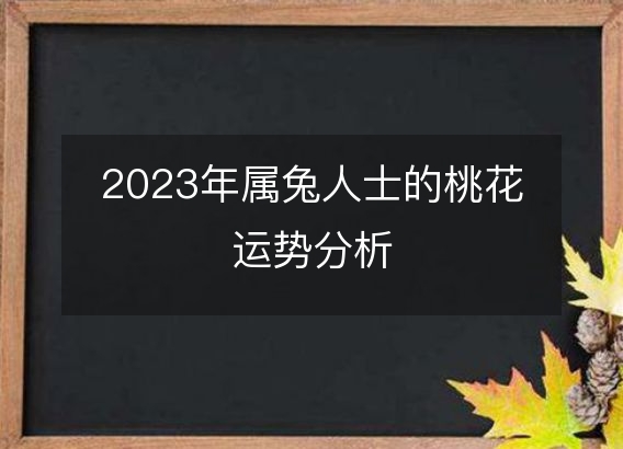 2023年属兔人士的桃花运势分析