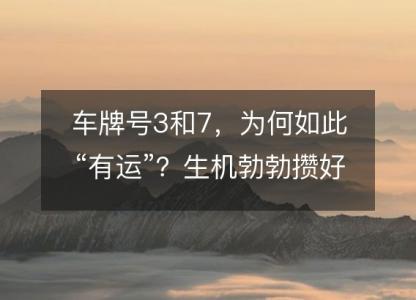 车牌号3和7，为何如此“有运”？生机勃勃攒好运