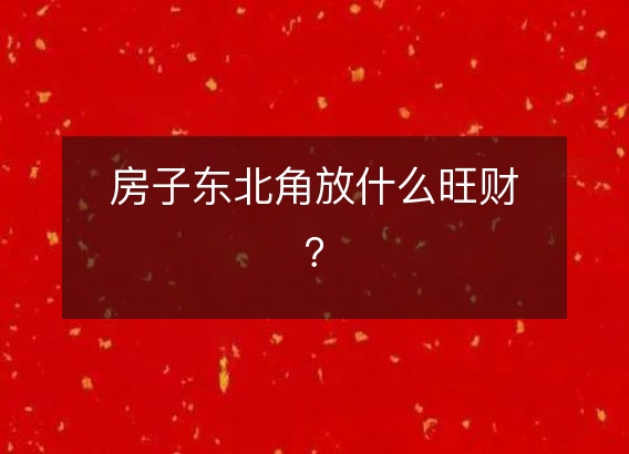 房子东北角放什么旺财？