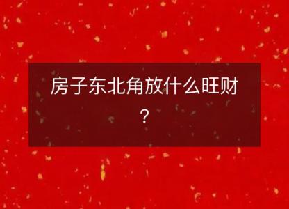 房子东北角放什么旺财？