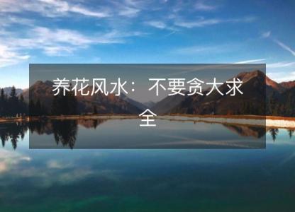 养花风水：不要贪大求全