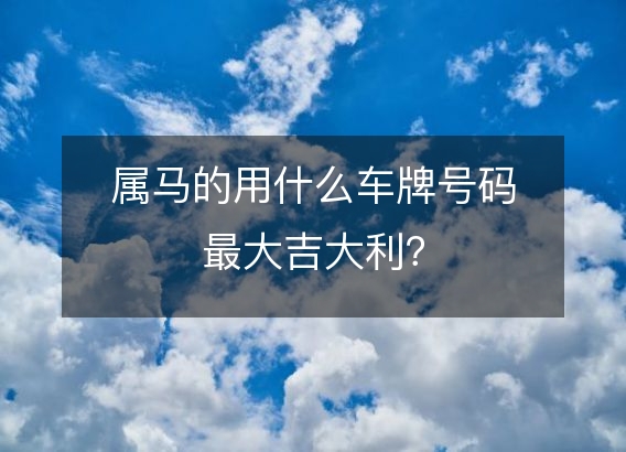 属马的用什么车牌号码最大吉大利？