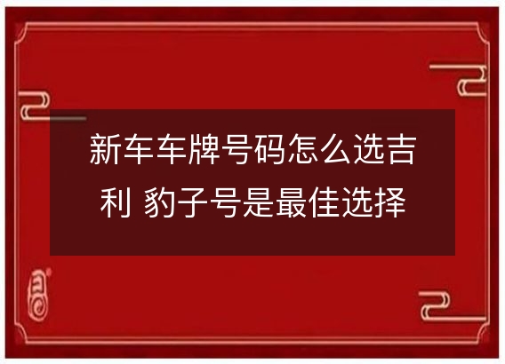 新车车牌号码怎么选吉利 豹子号是最佳选择