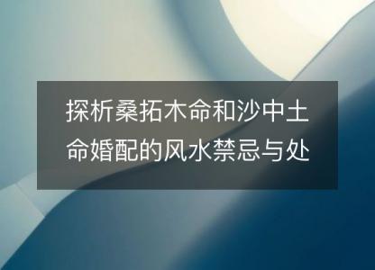 探析桑拓木命和沙中土命婚配的风水禁忌与处理方式